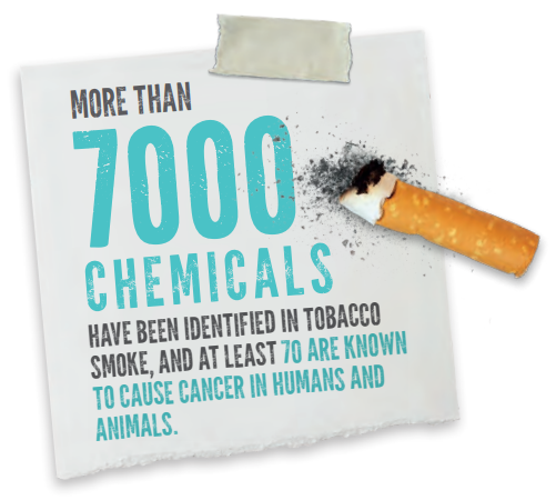 4 Ways Tobacco Is Devastating The Environment | NCD Alliance